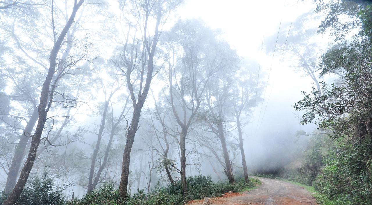 Hotel City Palace Ooty Esterno foto